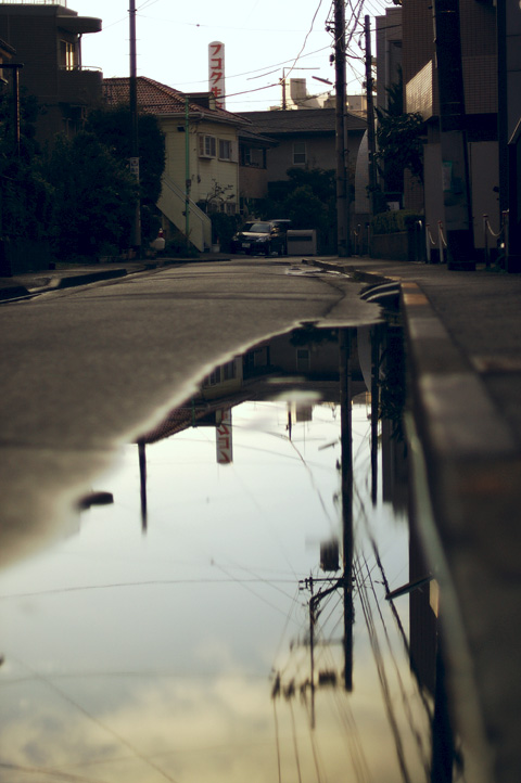 the world in puddles