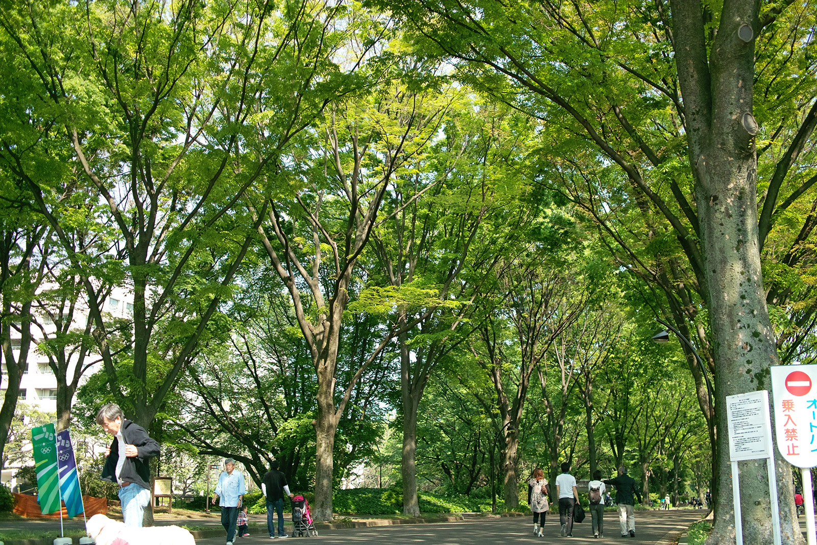 Komazawa Park